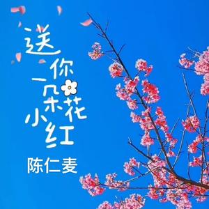 《送你一朵小红花》 (吉他纯净版|翻自 赵英俊)