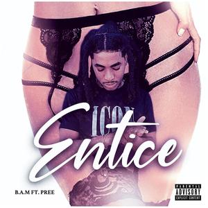 Entice (feat. Pree) (Explicit)