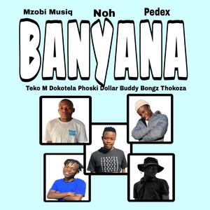 Banyana (feat. Teko M & Dokotela, Phoski Dollar, Buddy Bongz & Thokoza)
