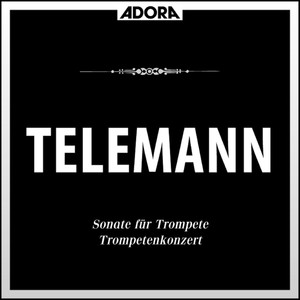 Flötenkonzert in A Minor - II. Vistement