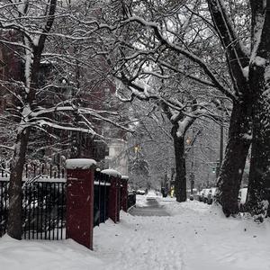 BLIZZARD (feat. PROD. HELLA ONYX) (Explicit)