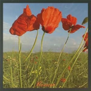 Floating On Air Stinger 2a