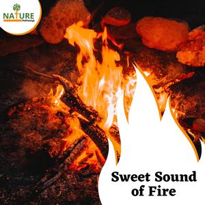 Sweet Sound of Fire