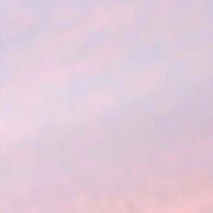 跑调の情歌封面