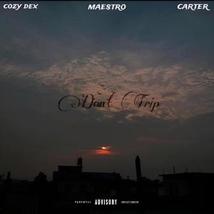 Don't Trip (feat. Cozy dex & Maestro) (Explicit)