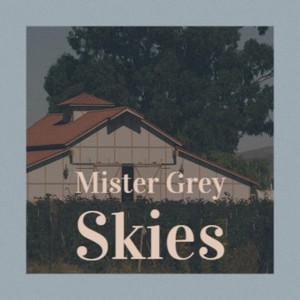 Mister Grey Skies