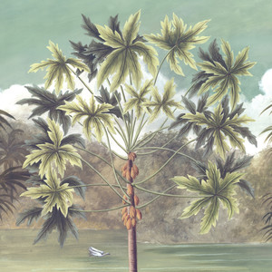 Interlúdio - A Onça na Lagoa