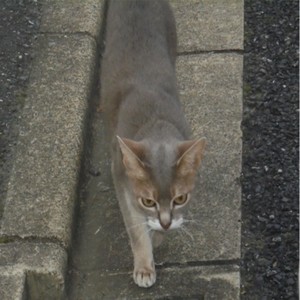 言葉が尽きるまで待って