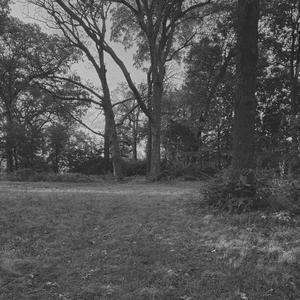 silent hill (Explicit)