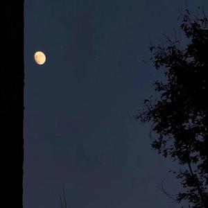 我等了很久 (伴奏)