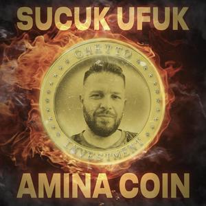 Amina Coin (Explicit)