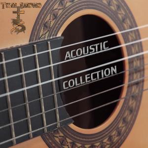 Acoustic Collection (Explicit)