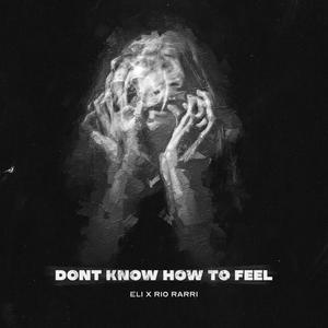 DONT KNOW HOW TO FEEL ! (feat. RarriQUESO) [Explicit]