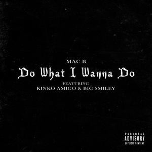 Do What I Wanna Do (feat. Kinko Amigo & Big Smiley)