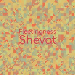 Fleetingness Shevat