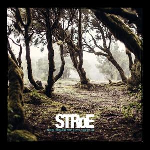 Never Thought (feat. Miles Bonny)