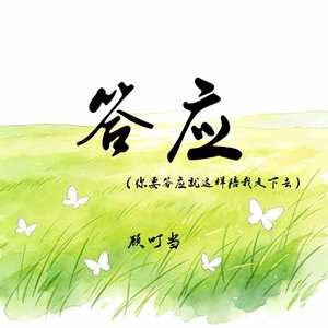 答应(你要答应就这样陪我走下去)封面