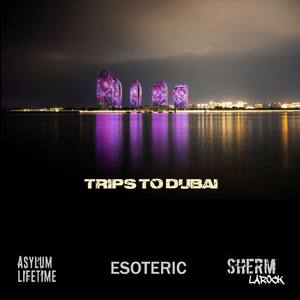 Trips to Dubai