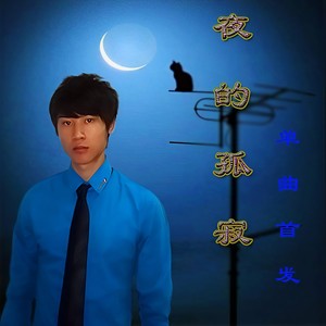 夜的孤寂