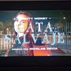 Gata salvaje (Explicit)