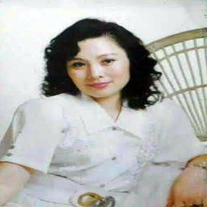 琴台分别后 / 雾中人