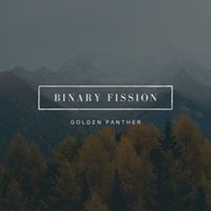 Binary Fission