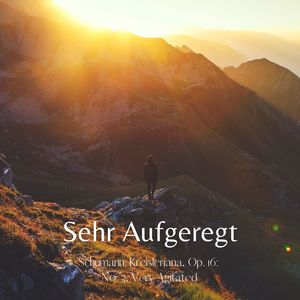 Schumann: Kreisleriana, Op. 16: No. 3, Sehr Aufgeregt - Very Agitated