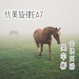 优美旋律EA7