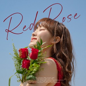 붉은장미 (Red Rose)