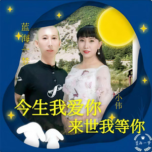今生我爱你 来世我等你