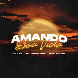 AMANDO ESSA VIDA