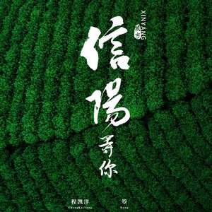 信阳等你 (伴奏)