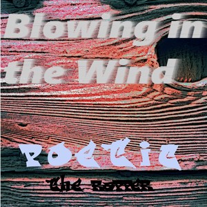 Blowing in the Wind (Bob Dylan Cover)