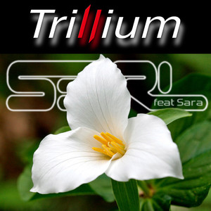 Trillium (feat. Sara) - Slowed