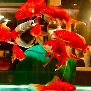 Температура (Explicit)