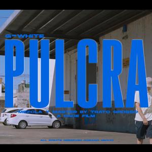 Pulcra