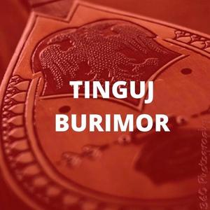 Tinguj Burimor