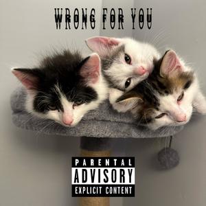 Wrong for you (feat. Slashy, Epitomeoffailure & The Sound Clown) [Explicit]