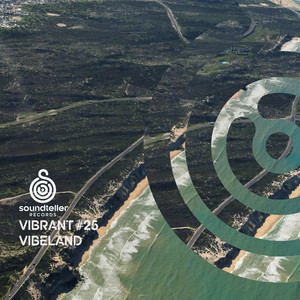 Vibrant Vibeland #25