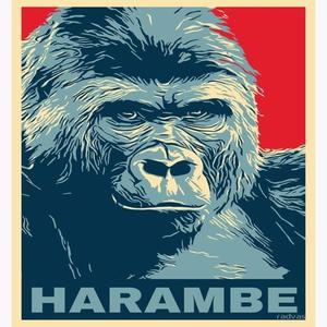 Harambe (Explicit)