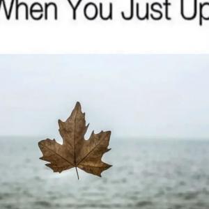 Very Silly (Explicit)