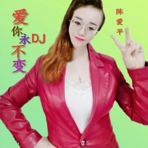 爱你永不变DJ (伴奏)