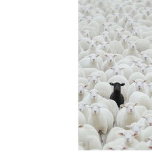 Give Me Head (Explicit)