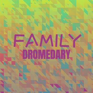 Family Dromedary