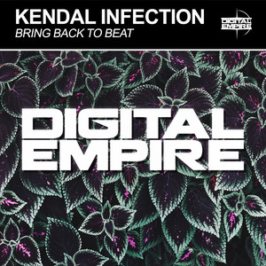 Bring Back To Beat (Original Mix)