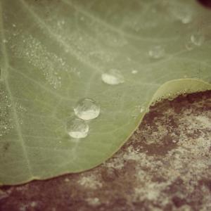 Río Azul (feat. Ignacio de los Campos)