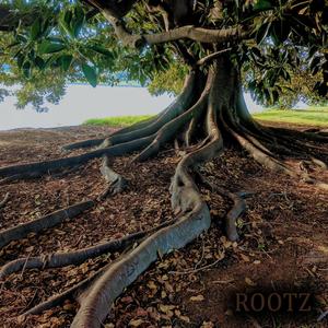 Rootz