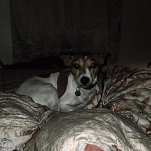 Creator (feat. haizi, zoid & Novsreign) (Explicit)