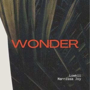 wonder (feat. Marrissa Joy)