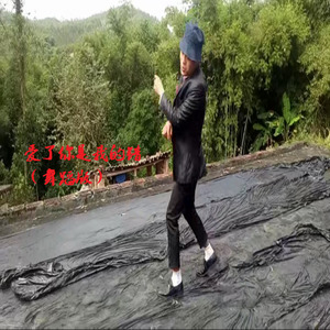 爱了你是我的错 (舞蹈版)